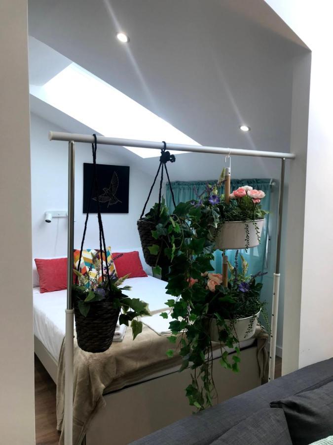 Insidehome Apartments - La Casita De Ursula Palencia Buitenkant foto